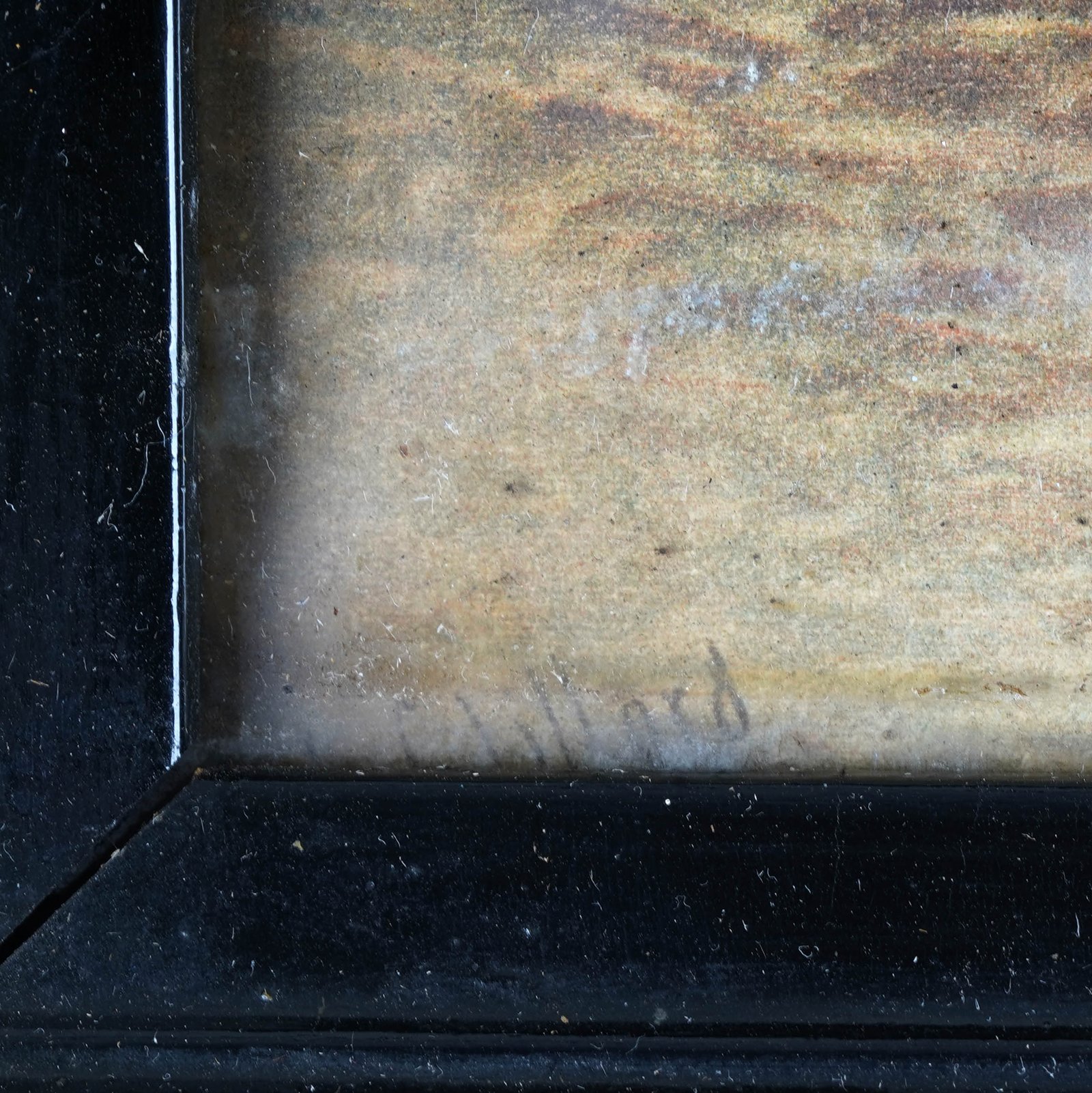 Additional Image 5