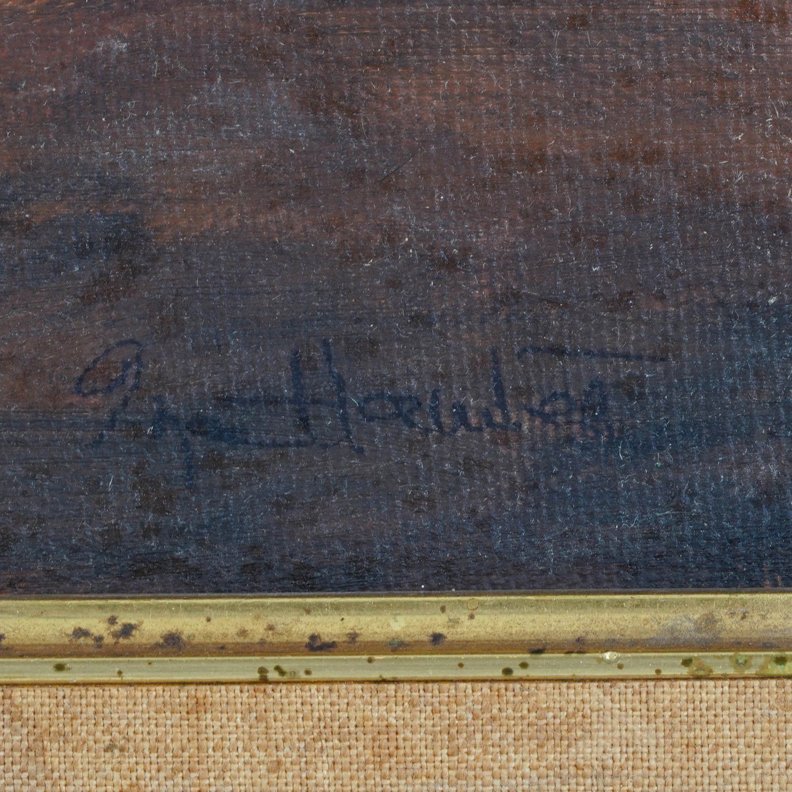 Additional Image 2