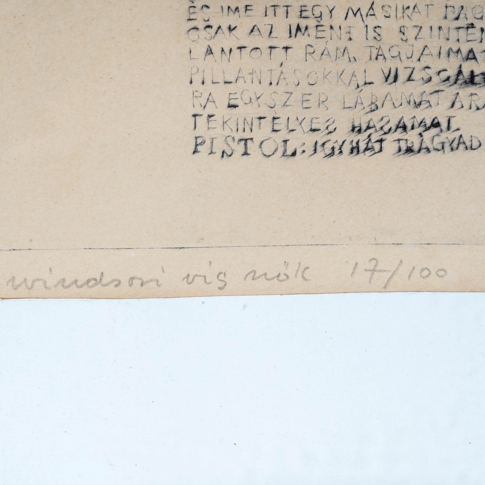 Additional Image 2