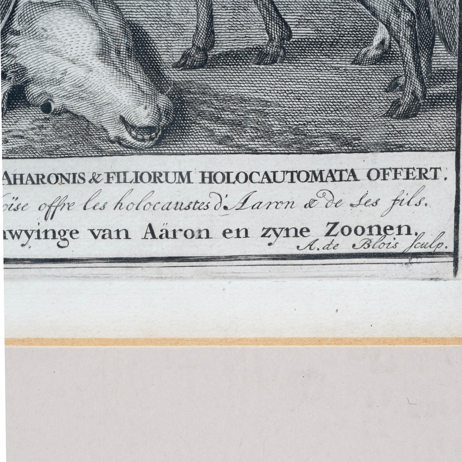 Additional Image 4