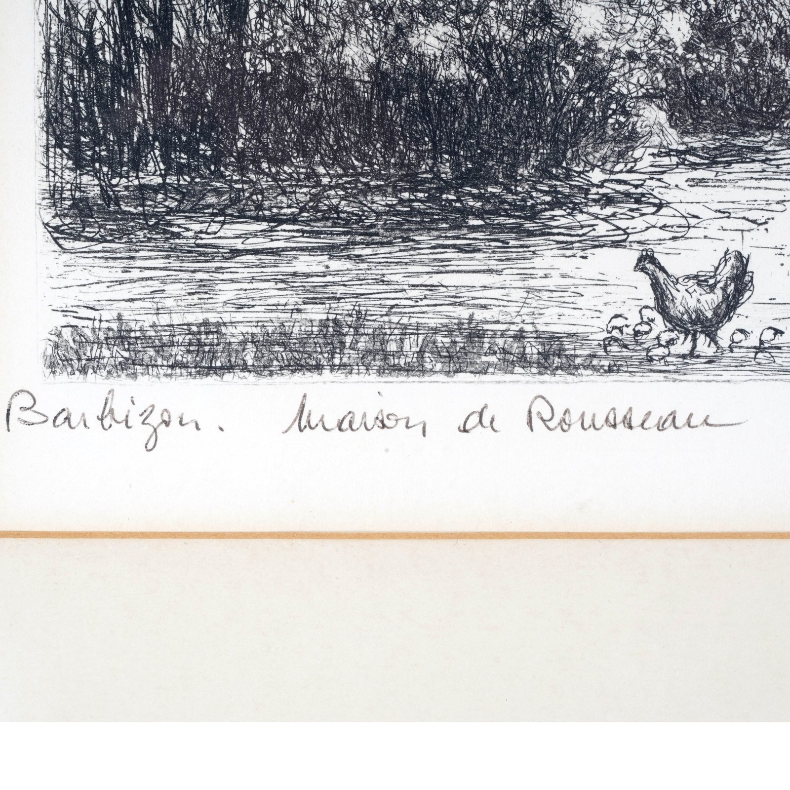 Additional Image 3