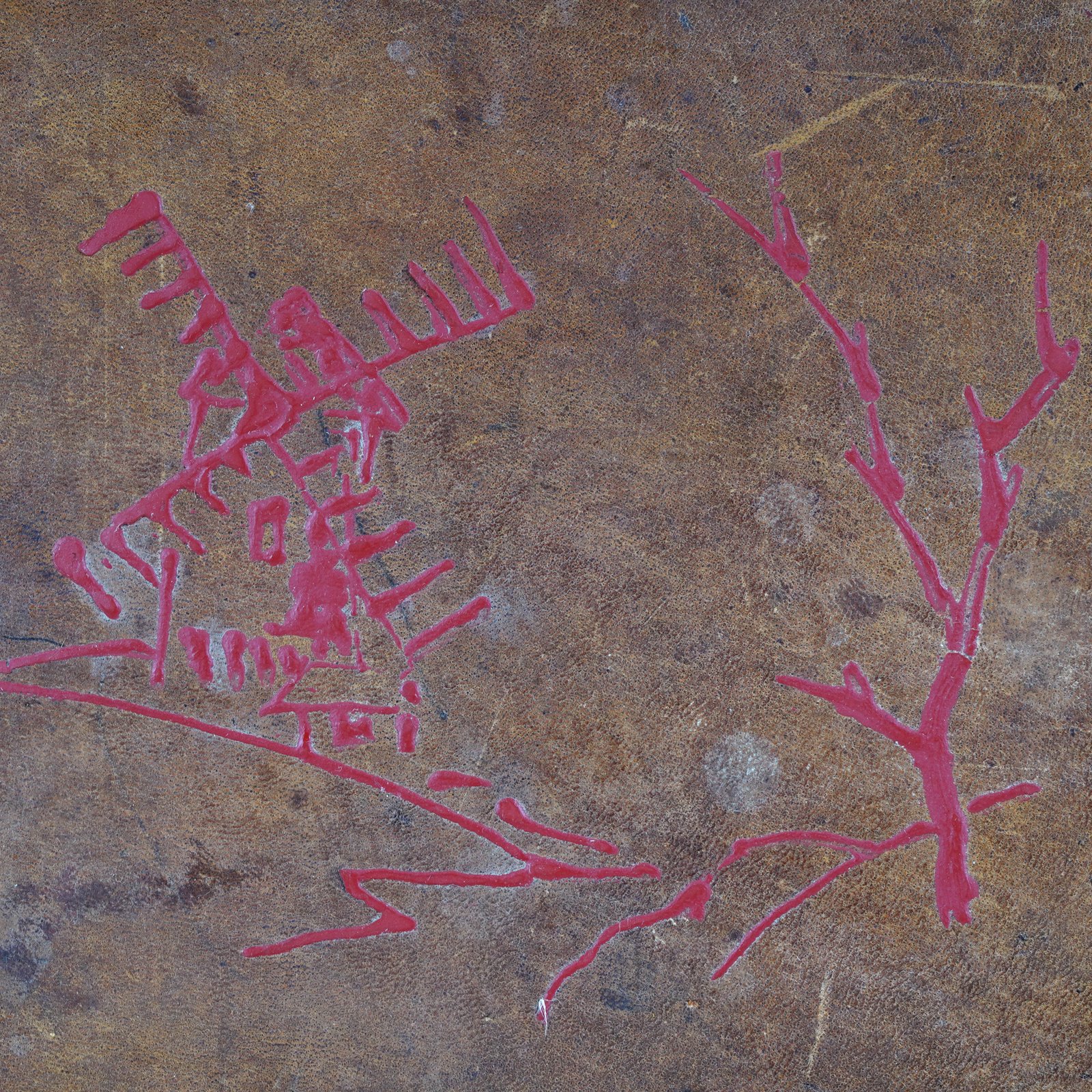 Additional Image 5