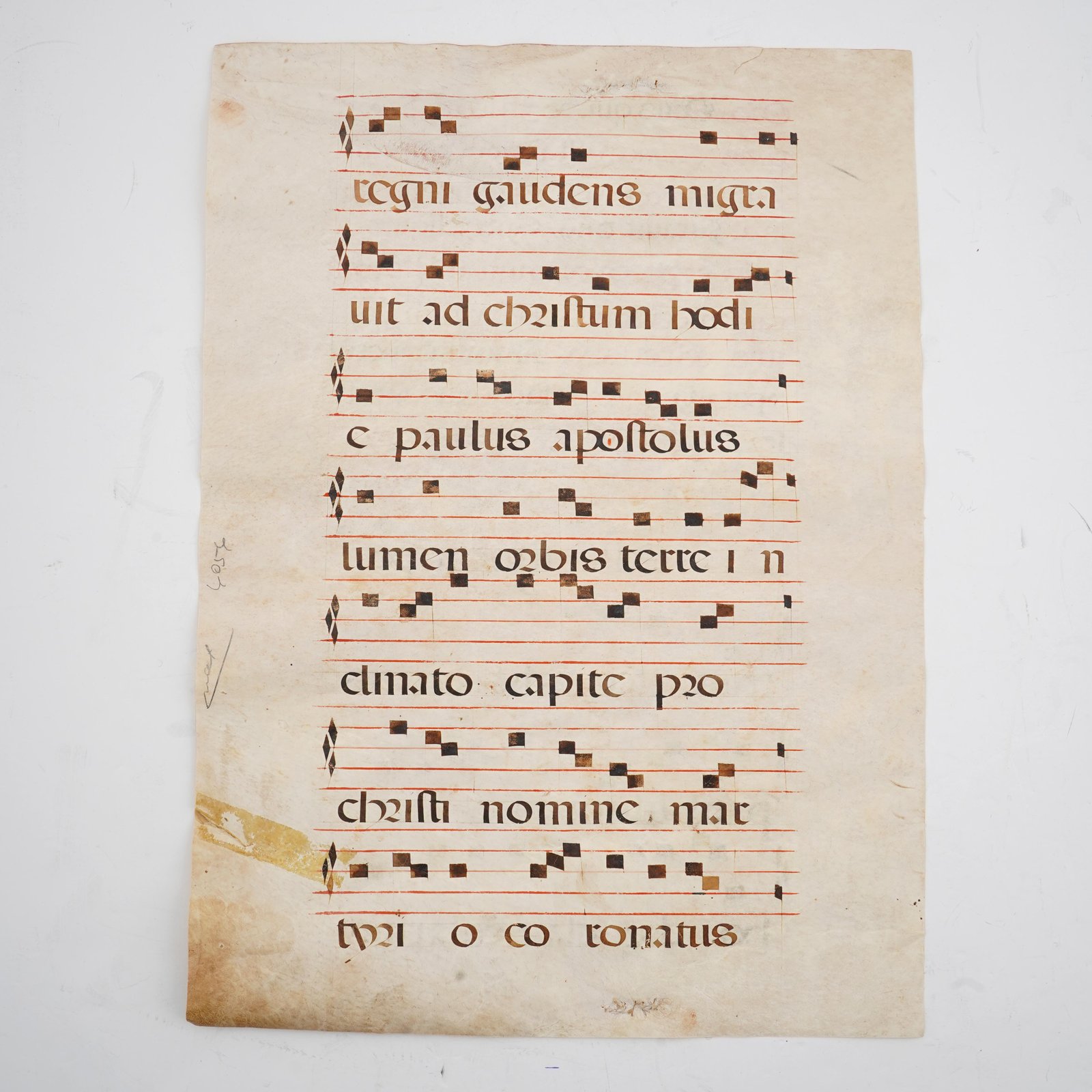 Additional Image 2