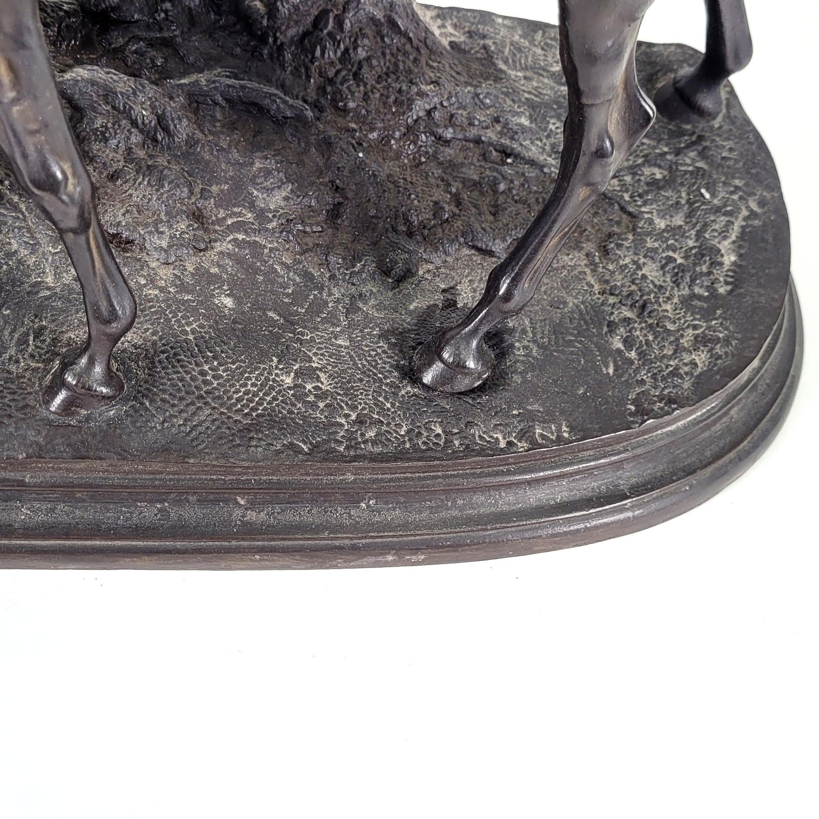 Additional Image 2