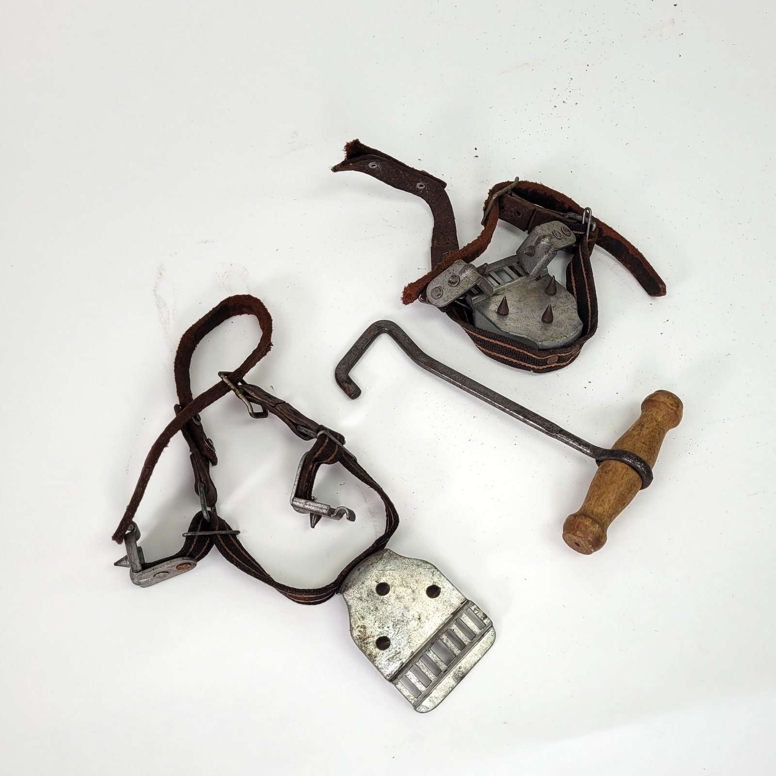 Additional Image 4