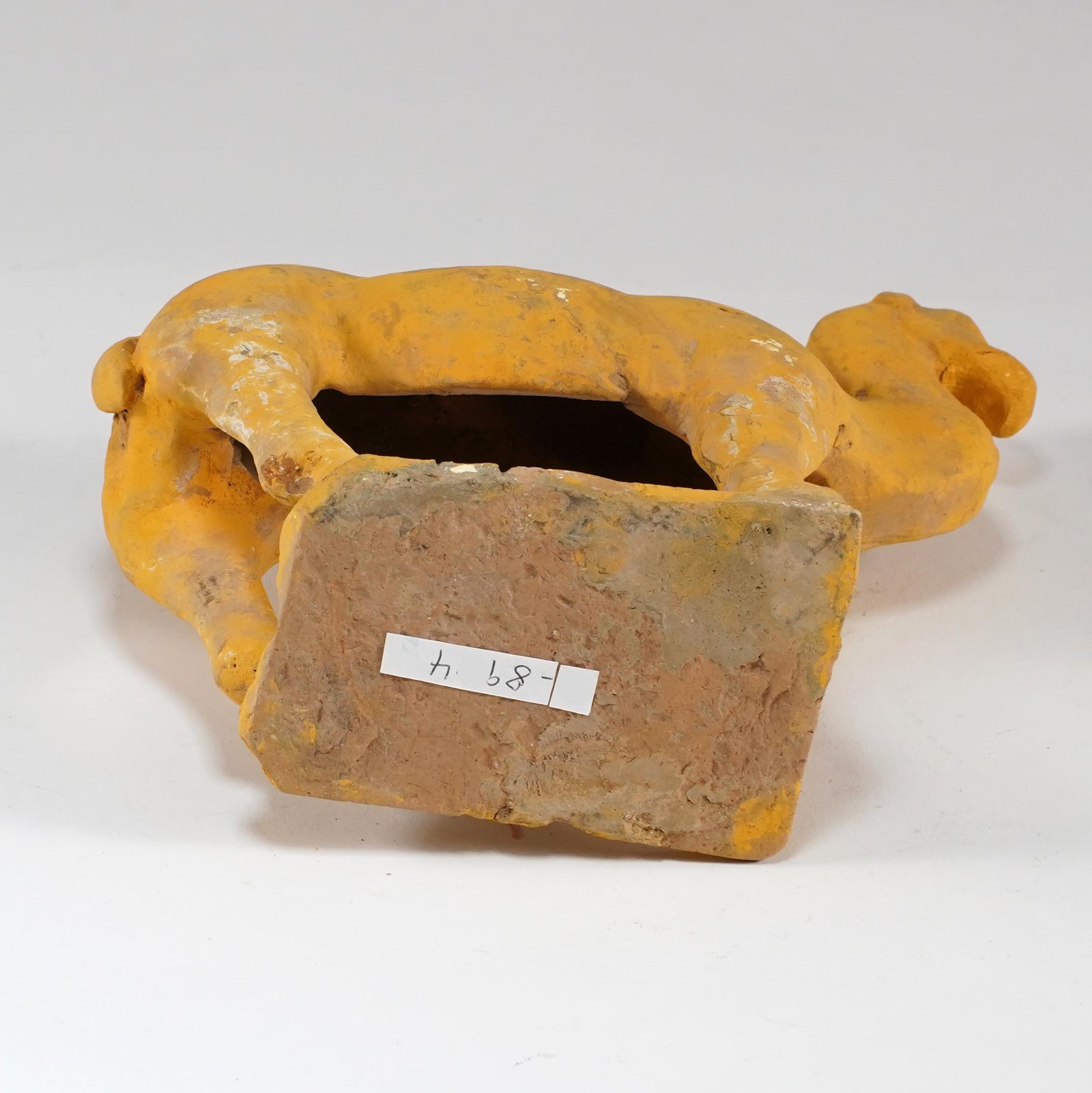 Additional Image 5