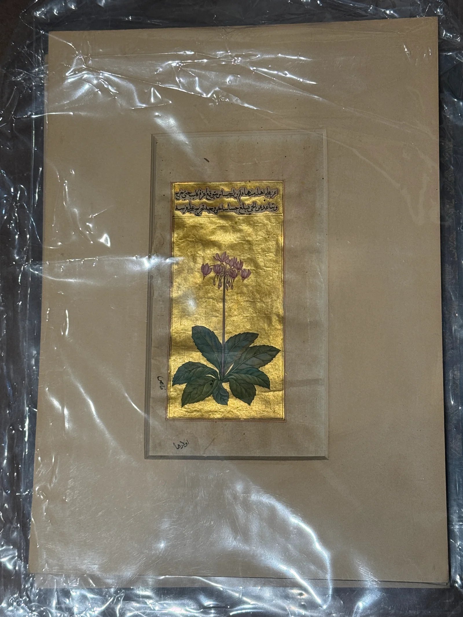 Additional Image 3